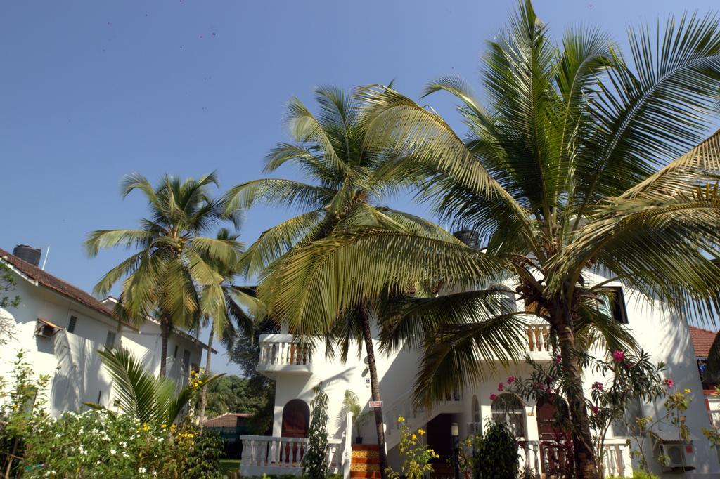 Colonia Santa Maria Hotel Baga Ngoại thất bức ảnh